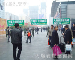 �F(tu��n)�Y(ji��)�f(xi��)�����e�O����