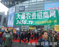 ���������e�O����