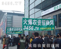 Ŭ����͌������B(t��i)�țQ���߶�