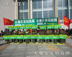 ������������ƽ��