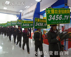 ���M����(zh��n)��·�������r(n��ng)�Y���̾W(w��ng)��꠲��˿s���ŗ�