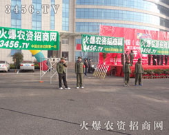 һ�l�Gɫ���L������β��ӳ