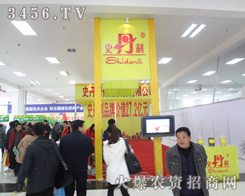 ʷ��������