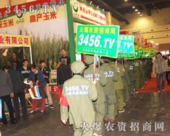 �͑���Ч�棬�҂���������