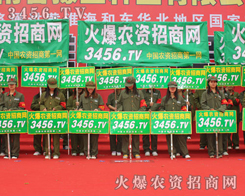 ��(qi��ng)��������͸����Զ�