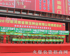 �ذ����ƏV���ǻ𱬾W������չ�F