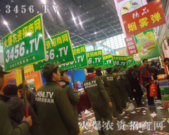 �����ϵĻ��˶������İٱ������鰺�P