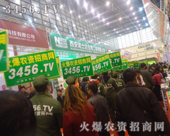 ���r(n��ng)�Y�W(w��ng)�~�����µ����������F(xi��n)���µ�ͻ��