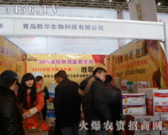 ���u�٠�����Ƽ�