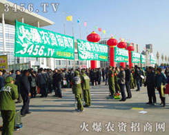 �ڊ^�������@�óɹ��Ļ���ƴ����������ע��