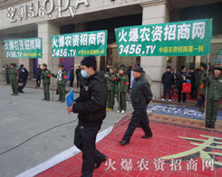 �M�������������ŗ�