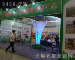 ����ʡ�r(n��ng)������Ʒ�N��������