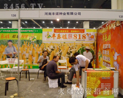 �����S�Z�N�I(y��)���޹�˾