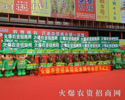 �����Լ������Ż�!