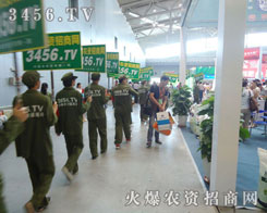 ���������ߵ���