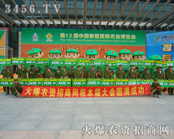 �õĠ�B(t��i)���������ƏV