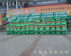 19��ɽ�|ֲ�����ϻ��r�Y�W�ǺØӵ�