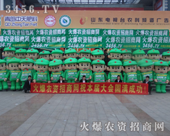 19��ɽ�|ֲ����(hu��)�ϣ�3456.TV�������M(j��n)�е���