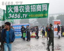 �������ȫ���Ը���������������