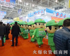 ��29��ֲ�����_ʼ��