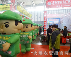 �������������̻�