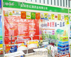 ����мt��ˎ�I(y��)�ڵ�29��ֲ������㡱M��