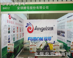 �V�����ĺ������簲����ĸ��˾��2013ֲ��������ú���