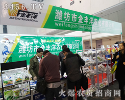 2013�Ͼ�ֲ�����������S���r(n��ng)�����̻�