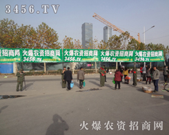 ���r(n��ng)�Y�W(w��ng)���������һֱ�Ǵ���P(gu��n)ע�Ľ��c