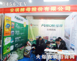 ������ĸ�c������2013���շ���չʢ�e��