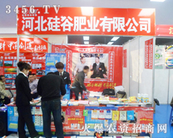 ��ȷʘI(y��)��2013���շ���չչλǰ�˳�ӿ�ӣ�