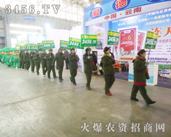 ���r(n��ng)�Y���̾W(w��ng)�ľGɫ܊�F(tu��n)���e�����ư���ͦ�ص����ڌ����ĕ���