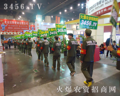 ��ģ������2013�p������