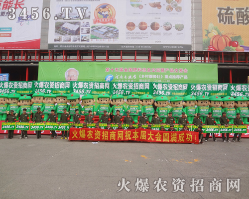 �r(n��ng)�Y�W(w��ng)վ���p������������p�����ϸɄ�ʮ����