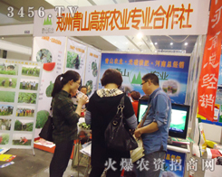 ��ɽ�����r(n��ng)�I(y��)��2013���ͷ��ϕ�(hu��)������