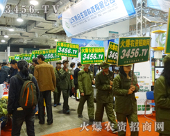 �Gɫ܊�b�ɞ鱊���P(gu��n)ע�Ľ��c(di��n)