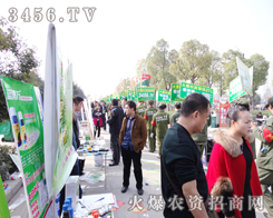 �^���ھ������������\����