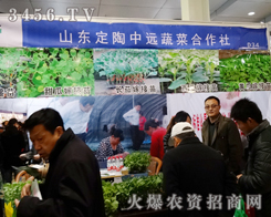 ���_�T��ϲӭ��(j��ng)�N�̿���ɽ�|�������h(yu��n)�߲˺������®a(ch��n)Ʒ