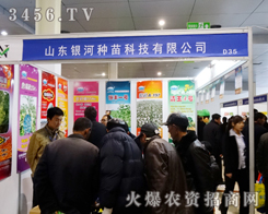 ɽ�|�y�ӷN��Ƽ��ںʝ��r(n��ng)�Y���ו���ȫ���Ը�