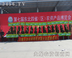 ���r�Y�W�Ì�������Ƿ�