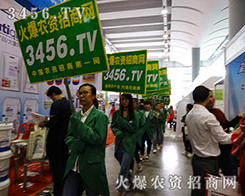 �𱬈F(tu��n)�(du��)׌���o(w��)�n