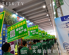 ���߰������ˣ�