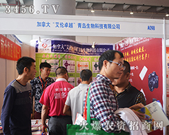 ���ô󰬂�����I(xi��n)�Y��13���ό��r(n��ng)�Y������ʢ�e��