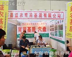 ɽ�|ݷ�h���r(n��ng)������|(zh��)���޹�˾����2015�ό��r(n��ng)�Y��-2015��13���Ϸ��r(n��ng)�Y���[��