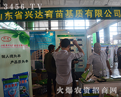 ɽ�|�d�_(d��)�Ƽ��c(di��n)ȼ��(j��ng)�N�̼�����