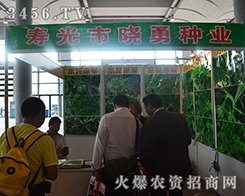 �۹��Е��·N�I(y��)�o��ӡ�������