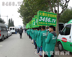 �����SˬӢ�����c��y�ֹ���ɽ�|ֲ����