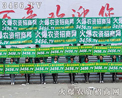 ����꠸�������(zh��n)������ƴ����