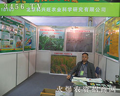 ��21��ɽ�|ֲ�������������d���r(n��ng)�I(y��)�ú�ˮ�Q��sҫ