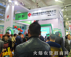 ɽ�|��Ұֲ������Ч������